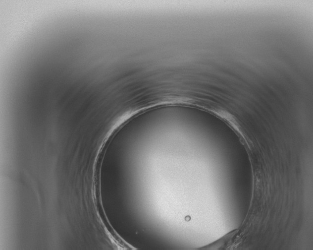 X0000059831143200510281751