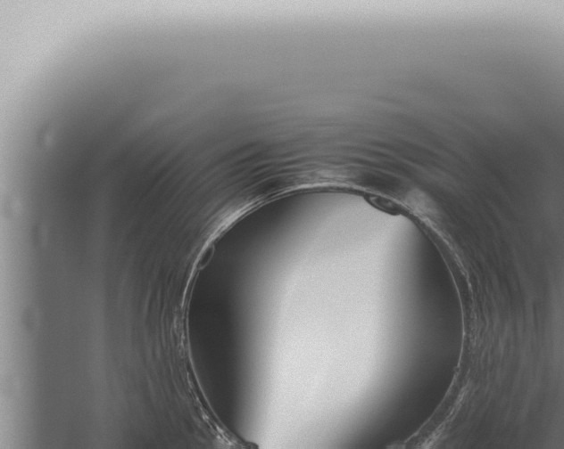 X0000059831145200510281751