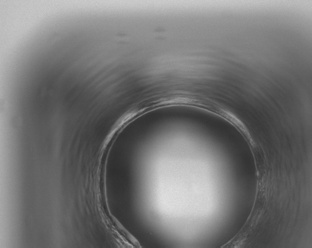 X0000059831146200510281751