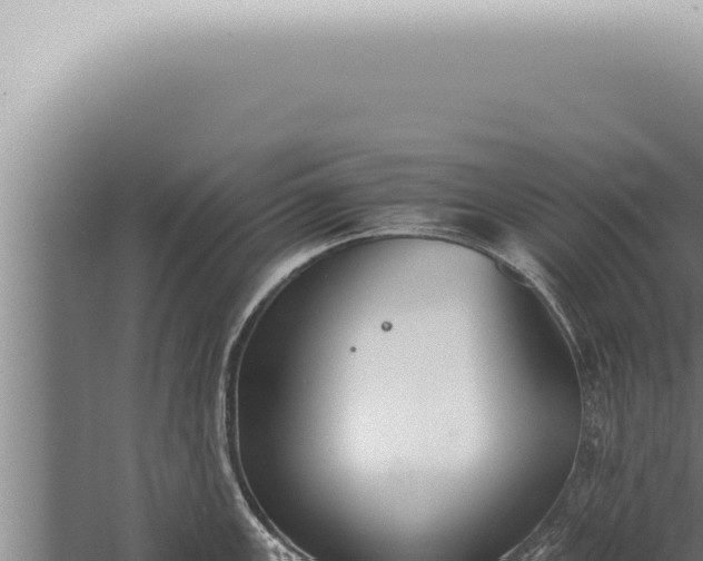 X0000059831147200510281751