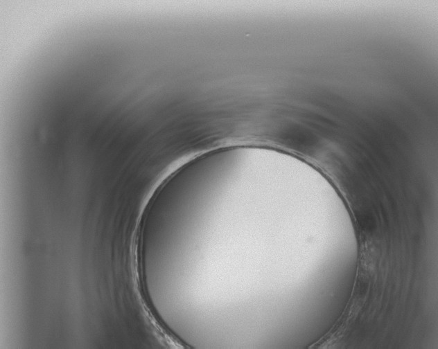 X0000059831150200510281751