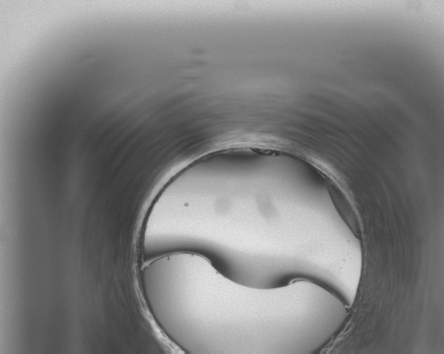 X0000059831152200510281751