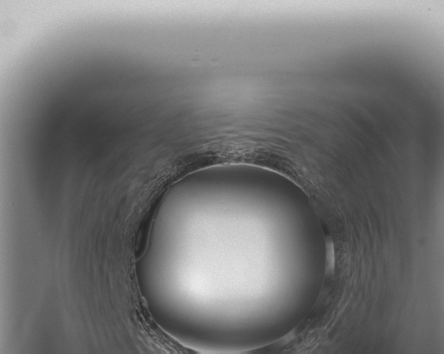 X0000059831153200510281750