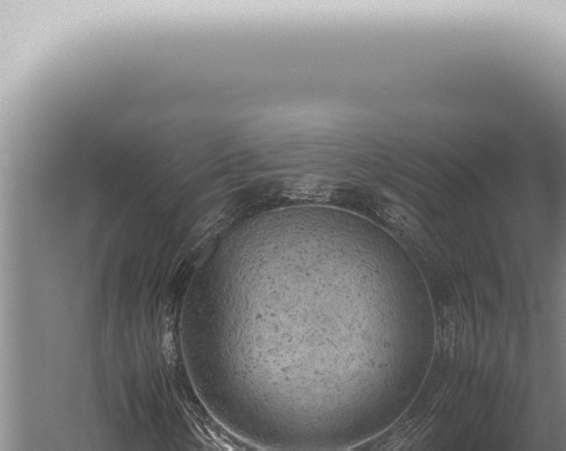 X0000059831154200510281750