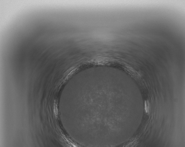 X0000059831155200510281750