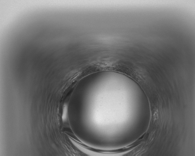 X0000059831156200510281750