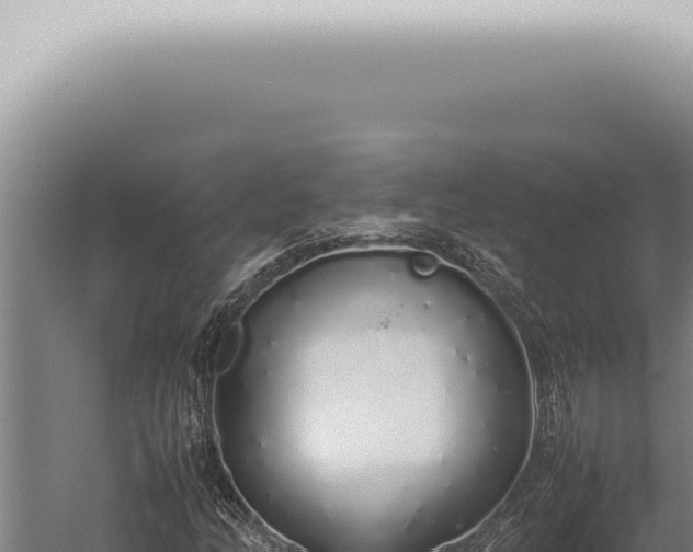 X0000059831158200510281750