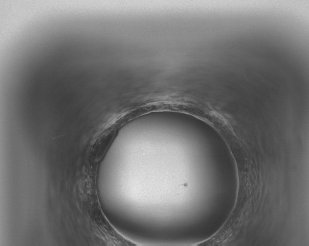 X0000059831159200510281750