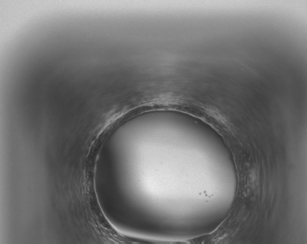 X0000059831160200510281750