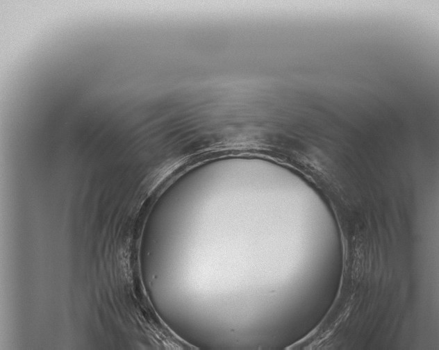 X0000059831162200510281750