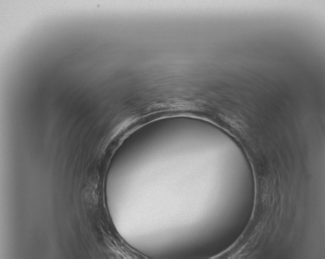 X0000059831163200510281750