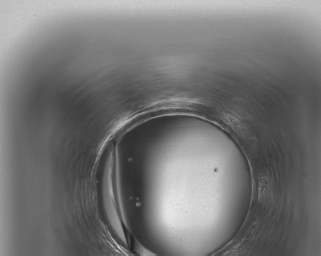 X0000059831164200510281750