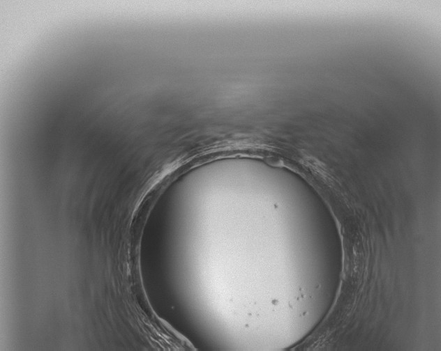 X0000059831165200510281750