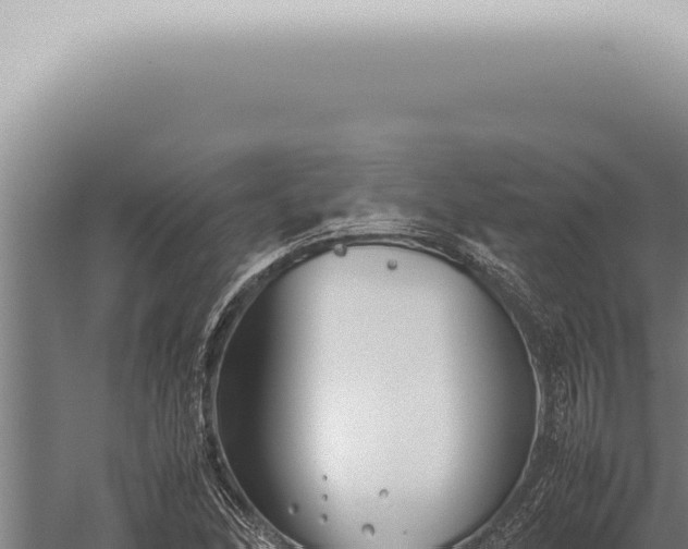 X0000059831166200510281750