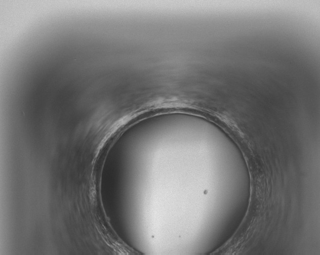 X0000059831167200510281750