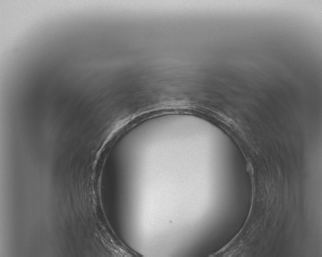 X0000059831168200510281750