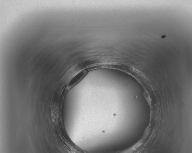 X0000059831169200510281750