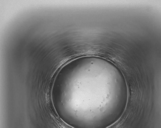 X0000059831170200510281750