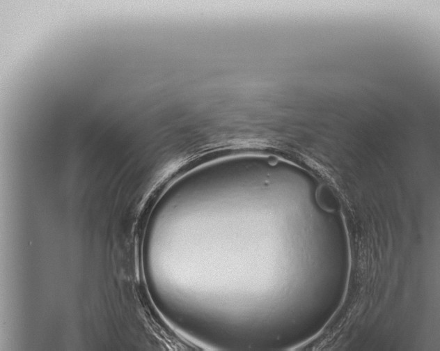 X0000059831171200510281750