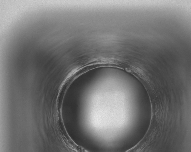 X0000059831172200510281750