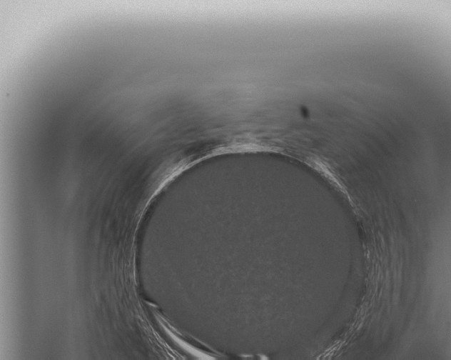 X0000059831173200510281750