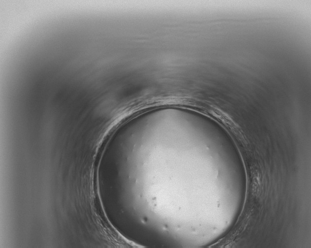 X0000059831174200510281750