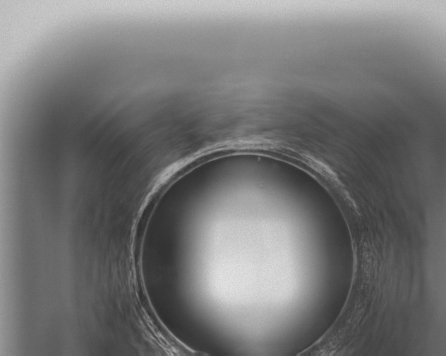 X0000059831176200510281750