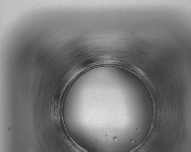 X0000059831178200510281750