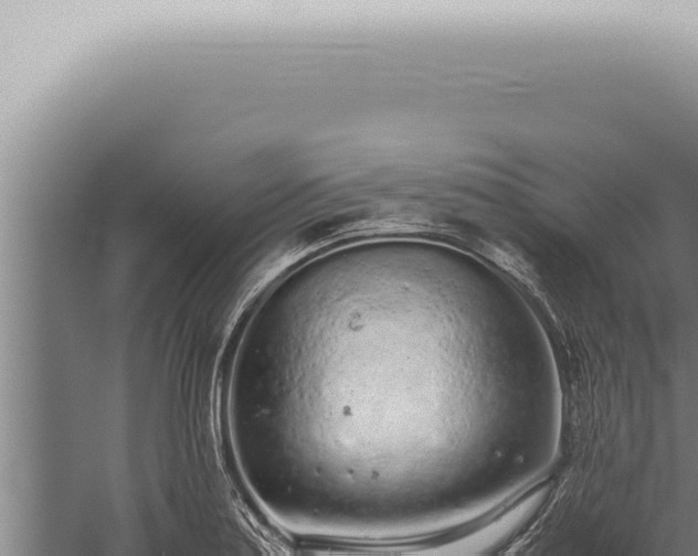 X0000059831179200510281750