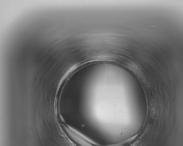 X0000059831180200510281750