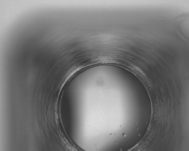 X0000059831182200510281750