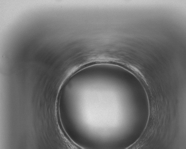 X0000059831183200510281750