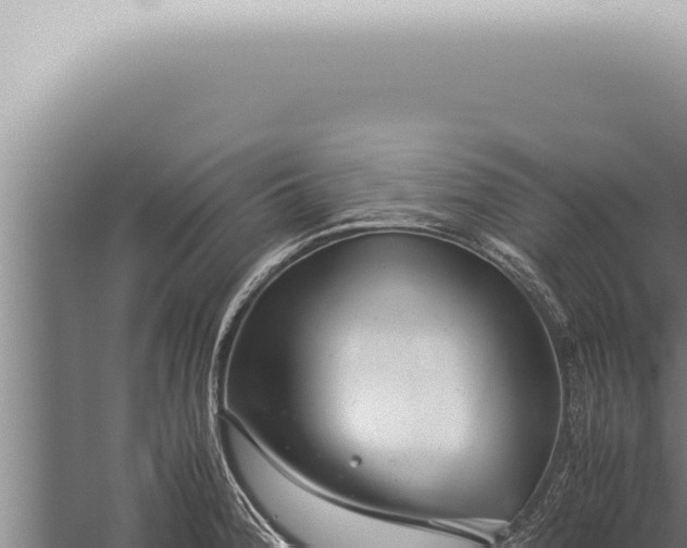 X0000059831188200510281750