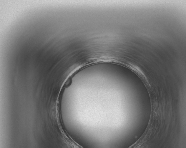 X0000059831190200510281749