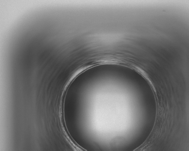 X0000059831195200510281749