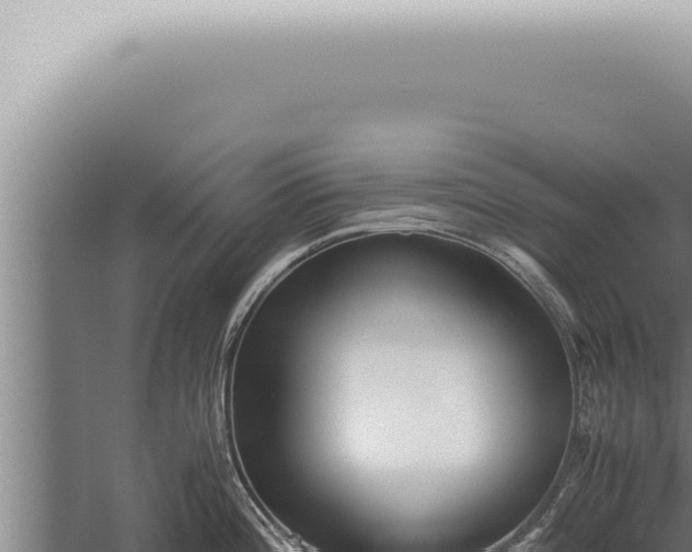 X0000059831196200510281749