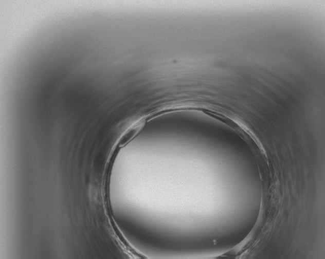 X0000059831197200510281749