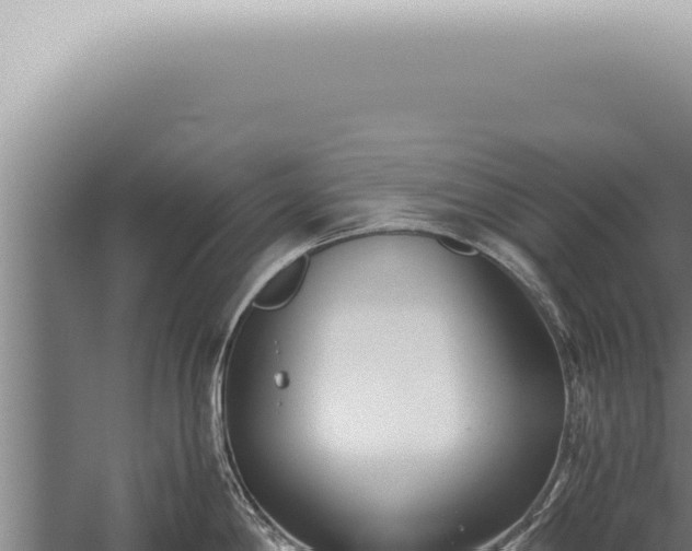 X0000059831198200510281749