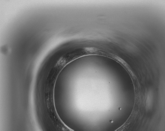 X0000059831199200510281749