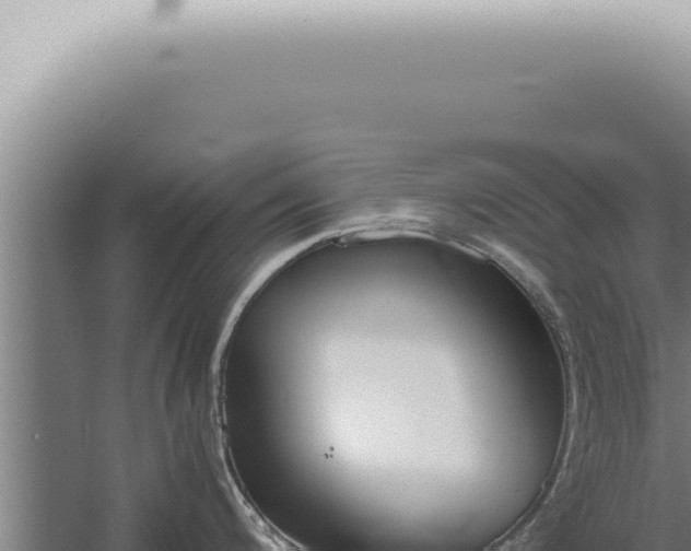 X0000059831200200510281749