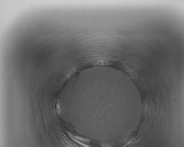 X0000059831202200510281749