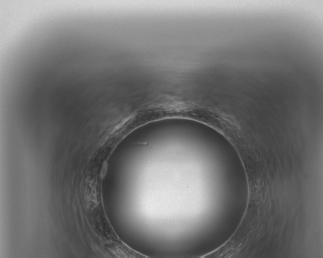 X0000059831205200510281749