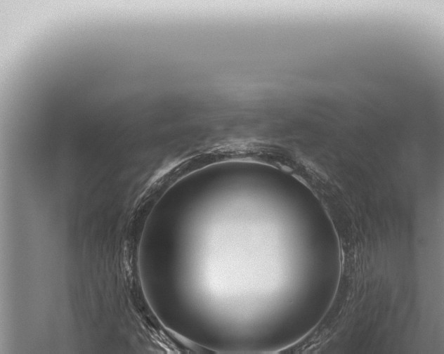 X0000059831206200510281749