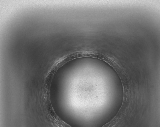 X0000059831207200510281749