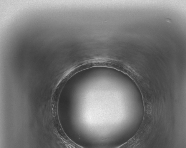 X0000059831208200510281749