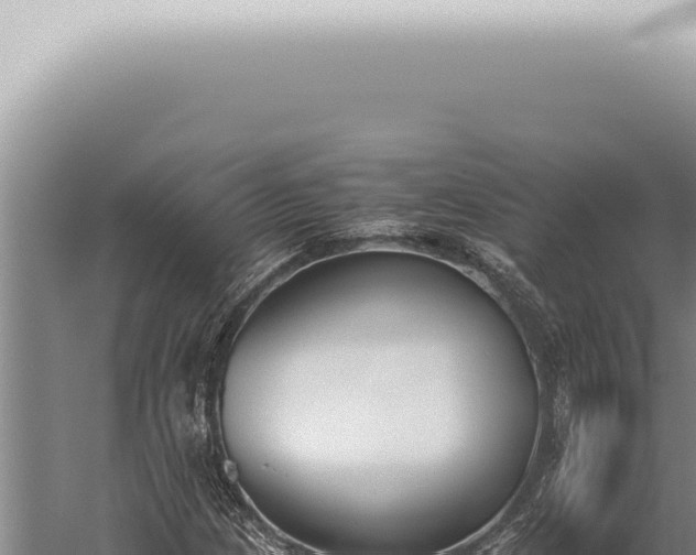 X0000059831209200510281749