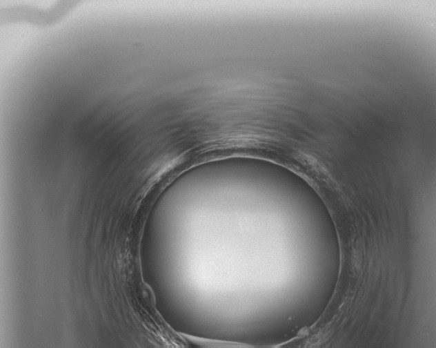 X0000059831210200510281749