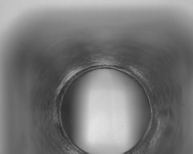 X0000059831215200510281749