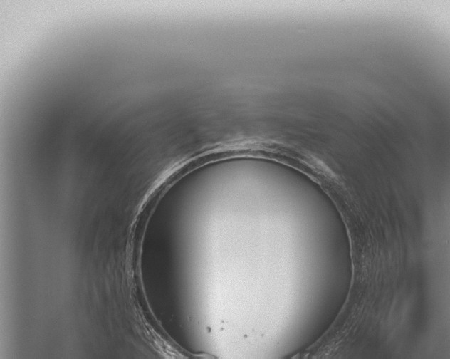 X0000059831216200510281749