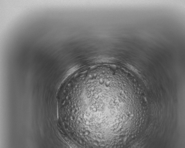 X0000059831219200510281749